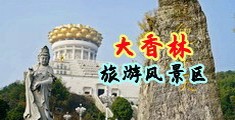 抽插骚货视频中国浙江-绍兴大香林旅游风景区